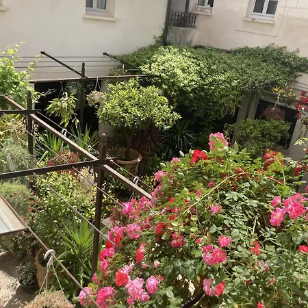 Bed and breakfast La Maison Des Augustins 4 Stars Et Fitness Aviñón